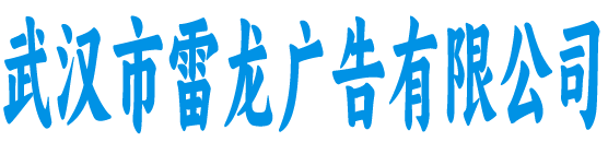 武汉市雷龙